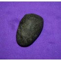 Fossil Shaligram